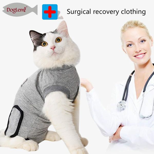 cat costumes clothing recovery after sterilization operation pure cotton bandage suit for pet skin disease
cat costumes clothing recovery after sterilization operation pure cotton bandage suit for pet skin disease