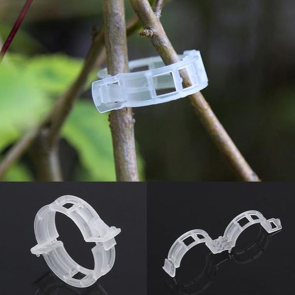 other garden supplies plastic plant support clips 50/100pcs vine tomato stem vegetable fixing clip greenhouse accessories 30mm
other garden supplies plastic plant support clips 50/100pcs vine tomato stem vegetable fixing clip greenhouse accessories 30mm
