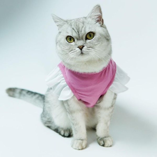 cat costumes small and medium-sized dog solid color short-sleeved shirt puppy kitten vest pet clothes green xxl
cat costumes small and medium-sized dog solid color short-sleeved shirt puppy kitten vest pet clothes green xxl