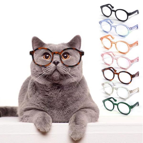 cat costumes pet cute glasses plastic transparent sun dog teddy personality pograph decoration accessories supplies
cat costumes pet cute glasses plastic transparent sun dog teddy personality pograph decoration accessories supplies