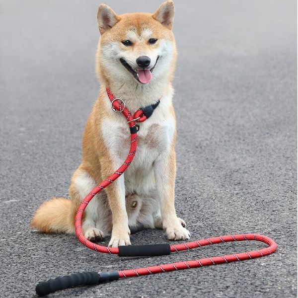 reflective p chain dog leash slip collar pet walking leads nylon long dog rope soft double handle for medium large dogs supplies
reflective p chain dog leash slip collar pet walking leads nylon long dog rope soft double handle for medium large dogs supplies