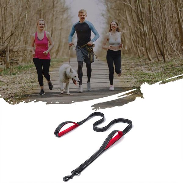 dog collars & leashes nylon double-layer thickened reflective traction rope leash electrophoretic ferrous metal diving cloth foam thickening
dog collars & leashes nylon double-layer thickened reflective traction rope leash electrophoretic ferrous metal diving cloth foam thickening