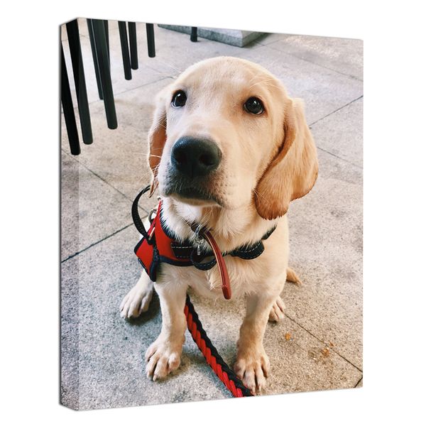 personalized p to canvas canvas prints with your ps on custom wall art for bedroom living room wedding baby pet family picture frame
personalized p to canvas canvas prints with your ps on custom wall art for bedroom living room wedding baby pet family picture frame