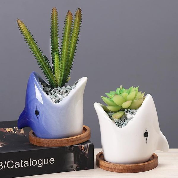 planters & pots succulent pot creative cartoon ceramic flower european-style simple indoor deskfor plants office decor
planters & pots succulent pot creative cartoon ceramic flower european-style simple indoor deskfor plants office decor