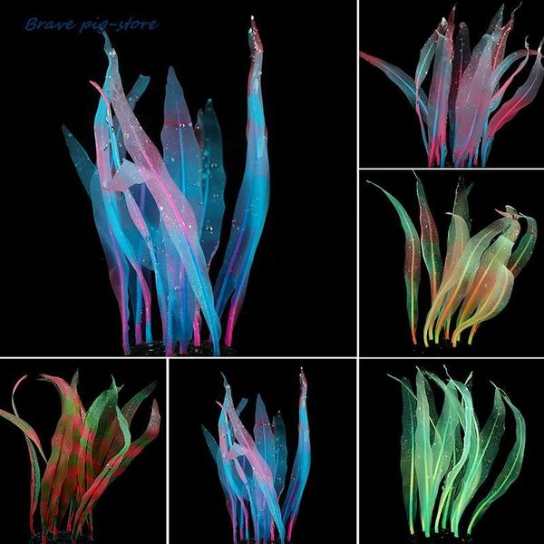 decorations 25cm aquarium decoration plants simulation artificial water grass fish tank decor silicone kelp ornament accessories
decorations 25cm aquarium decoration plants simulation artificial water grass fish tank decor silicone kelp ornament accessories