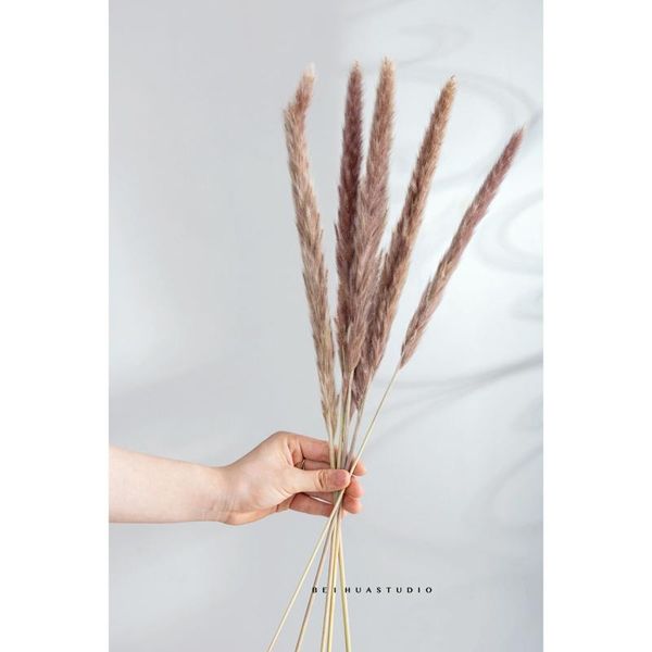 30pc dried decoration flowers vases bouquet boho branches fake floristics diy wreath artificial decorative & wreaths
30pc dried decoration flowers vases bouquet boho branches fake floristics diy wreath artificial decorative & wreaths