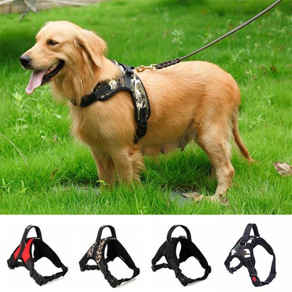 nylon heavy duty dog pet harness collar adjustable padded extra big large medium small dog harnesses vest husky dogs supplies
nylon heavy duty dog pet harness collar adjustable padded extra big large medium small dog harnesses vest husky dogs supplies