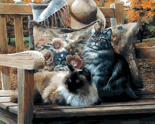 paintings frameless painting by numbers animals wall decor diy picture on canvas for home 4050cm kitty 
paintings frameless painting by numbers animals wall decor diy picture on canvas for home 4050cm kitty