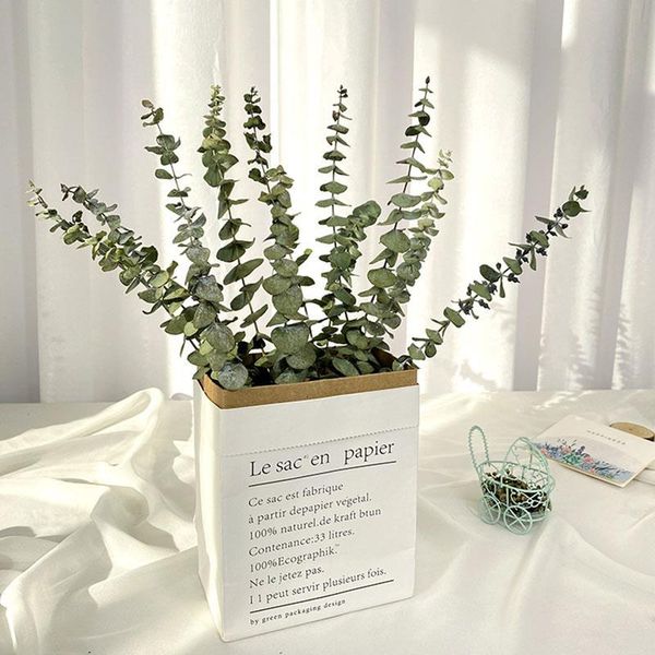 decorative flowers & wreaths 10pcs real natural eucalyptus leaves flower material for wedding wall home decoration greenery plant leaf decor
decorative flowers & wreaths 10pcs real natural eucalyptus leaves flower material for wedding wall home decoration greenery plant leaf decor