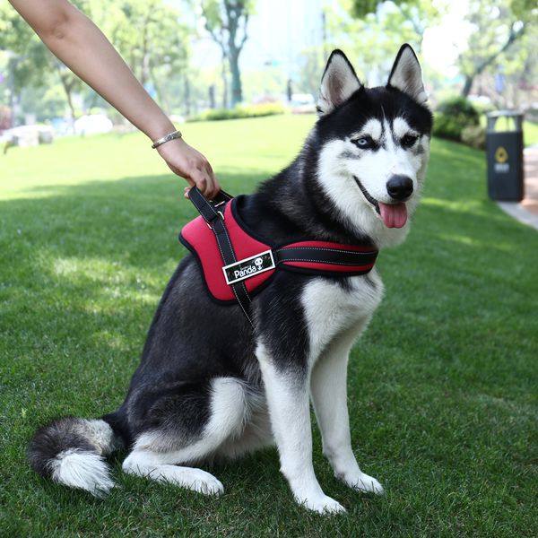 2021 new ent of good quality big dog harness red camouflage black color collar strong pet products 72xq
2021 new ent of good quality big dog harness red camouflage black color collar strong pet products 72xq
