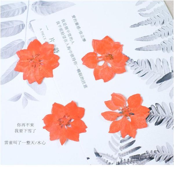 consolida ajacis small real dried flower dry plants for candle epoxy resin pendant necklace jewelry making craft diy a qylbap
consolida ajacis small real dried flower dry plants for candle epoxy resin pendant necklace jewelry making craft diy a qylbap