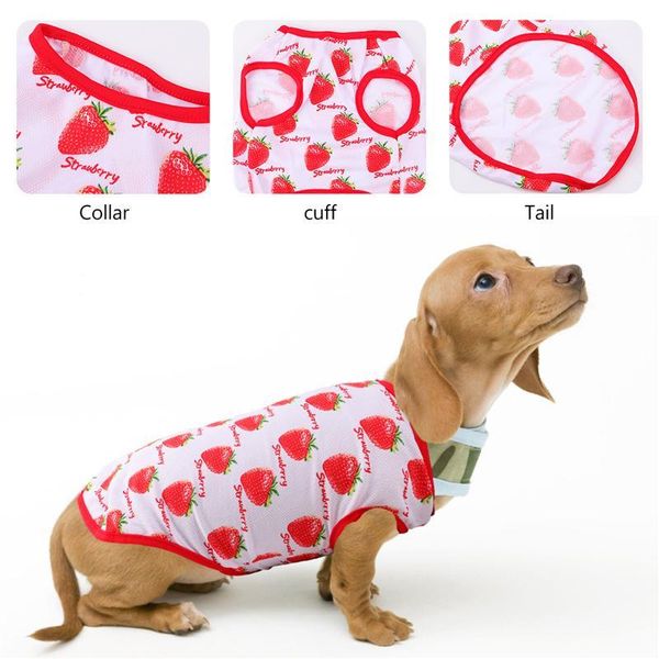dog apparel 1pc summer vest cartoon pets breathable pet clothes soft fashion strawberry pattern
dog apparel 1pc summer vest cartoon pets breathable pet clothes soft fashion strawberry pattern