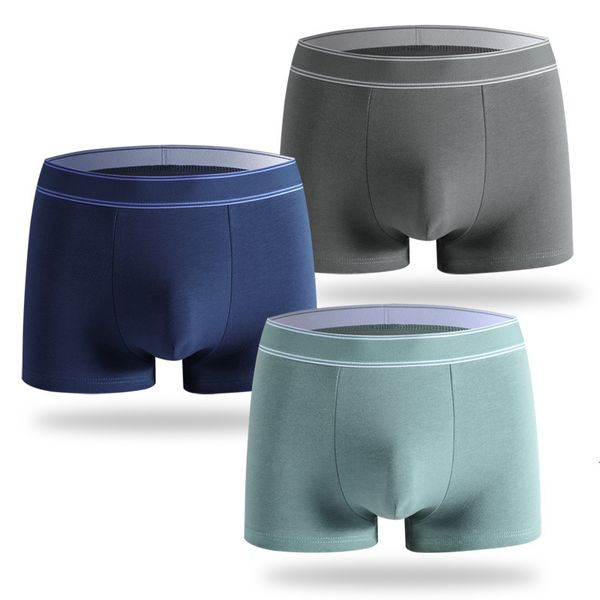 men's pure cato gay underwear gentlemen boxer shorts man pouch breathing comfortable men family boxers brand, Black;white
men's pure cato gay underwear gentlemen boxer shorts man pouch breathing comfortable men family boxers brand, Black;white
