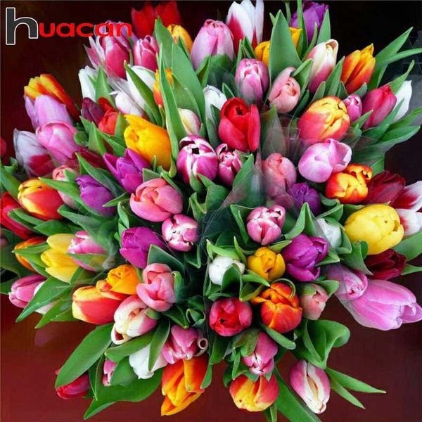 diamond painting huacan 5d embroidery mosaic tulip full square/round flower bouquet diy wall decoration needlework
diamond painting huacan 5d embroidery mosaic tulip full square/round flower bouquet diy wall decoration needlework