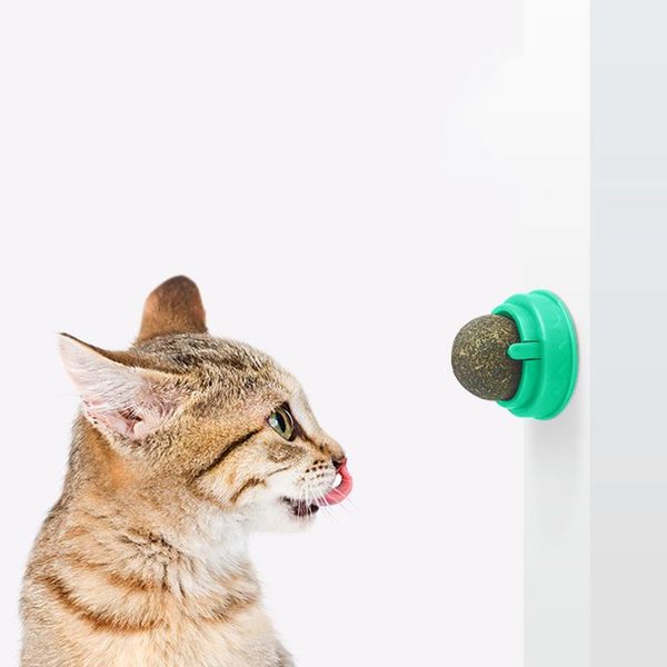 cat toys home mint catnip edible ball toy clean cats teeth protect the stomach pet safety pets products
cat toys home mint catnip edible ball toy clean cats teeth protect the stomach pet safety pets products