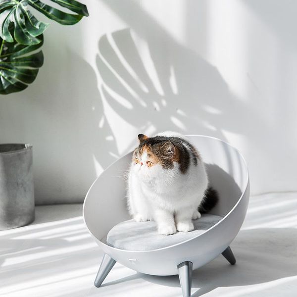 cat beds & furniture cats bed 2021 fashion creative litter hemispherical pet open plastic space stool sofa supplies
cat beds & furniture cats bed 2021 fashion creative litter hemispherical pet open plastic space stool sofa supplies