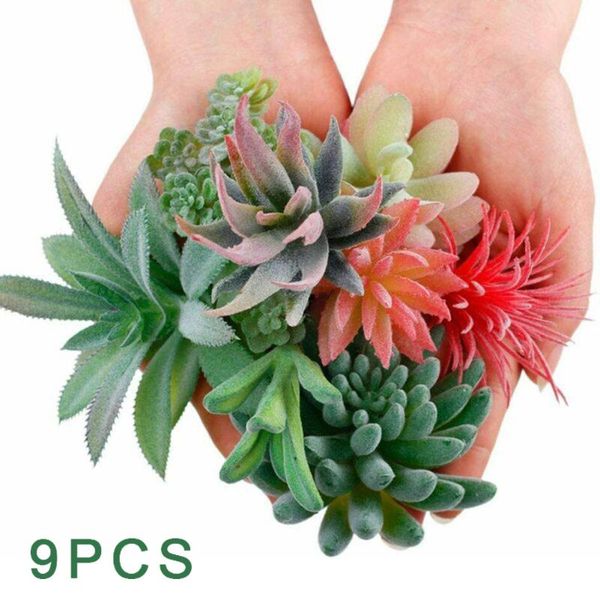 decorative flowers & wreaths 9pcs artificial succulent plants faux lifelike stems flower garden home decor brand and 2021 arriv
decorative flowers & wreaths 9pcs artificial succulent plants faux lifelike stems flower garden home decor brand and 2021 arriv