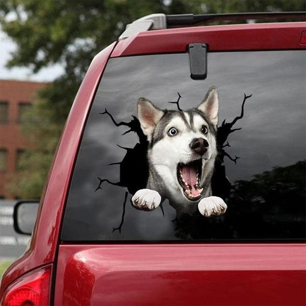 funny dog head in the crack vinyl car stickers decals motorcycle accessories car-window decorative goods pvc car sticker
funny dog head in the crack vinyl car stickers decals motorcycle accessories car-window decorative goods pvc car sticker