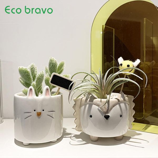 decorative objects & figurines ecobravo ceramic flowerpot hedgehog puppy cute animal flower pot creative deskhome decor mini gard
decorative objects & figurines ecobravo ceramic flowerpot hedgehog puppy cute animal flower pot creative deskhome decor mini gard