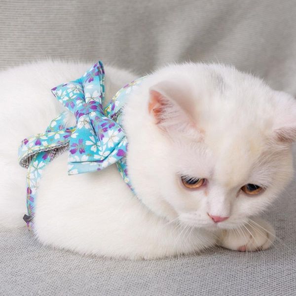 cat collars & leads japanese-style traction rope rotating hook movement metal buckle not easy to rust 360 design safe use
cat collars & leads japanese-style traction rope rotating hook movement metal buckle not easy to rust 360 design safe use