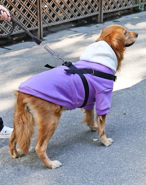 cat costumes pet clothes cool and fashion dog clothing for big dogs coat jacket puppy cotton leisure style
cat costumes pet clothes cool and fashion dog clothing for big dogs coat jacket puppy cotton leisure style
