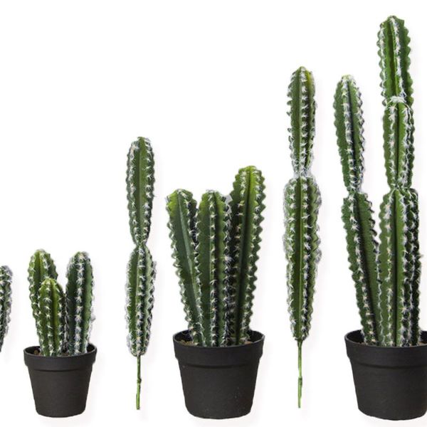 1pcs artificial cactus succulents potted ornaments green plant fake flower diy wedding supplies office garden home decor bouquet
1pcs artificial cactus succulents potted ornaments green plant fake flower diy wedding supplies office garden home decor bouquet