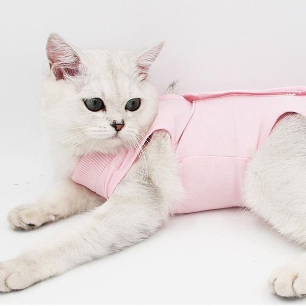 cat costumes operation recovery clothes creative kitten anti licking wounds clothing suit pet puppy accessories
cat costumes operation recovery clothes creative kitten anti licking wounds clothing suit pet puppy accessories