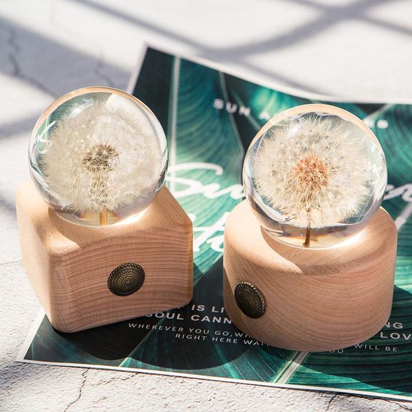 real dandelion flower crystal glass resin lens ball with stand mother's day mom gift christmas wedding gifts for guests birthday
real dandelion flower crystal glass resin lens ball with stand mother's day mom gift christmas wedding gifts for guests birthday