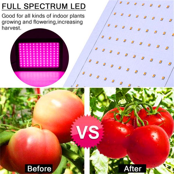 new led grow lights qbc600 bars samsung lm281b+ full spectrum led led grow light for indoor plants
new led grow lights qbc600 bars samsung lm281b+ full spectrum led led grow light for indoor plants