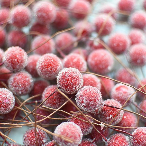 50pcs fake fruit glass berries artificial flowers diy gift box wreath garland accessories wedding party decoration fake flowers
50pcs fake fruit glass berries artificial flowers diy gift box wreath garland accessories wedding party decoration fake flowers
