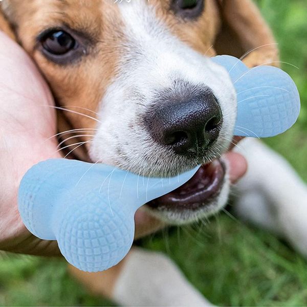 dog toys & chews pet product rubber training grinding teeth to smell toy bite resistant molar
dog toys & chews pet product rubber training grinding teeth to smell toy bite resistant molar