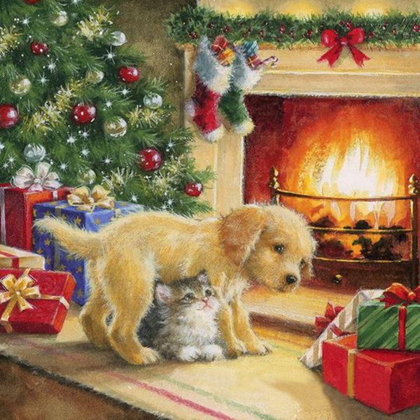 diamond painting 5d diy christmas gift full square drill embroidery mosaic picture of rhinestones home decor sale
diamond painting 5d diy christmas gift full square drill embroidery mosaic picture of rhinestones home decor sale