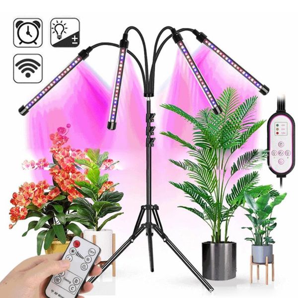 led grow lights with tripod 110-240v 80 leds full spectrum phytolamp with controller for plant seedlings flower indoor vegetable
led grow lights with tripod 110-240v 80 leds full spectrum phytolamp with controller for plant seedlings flower indoor vegetable