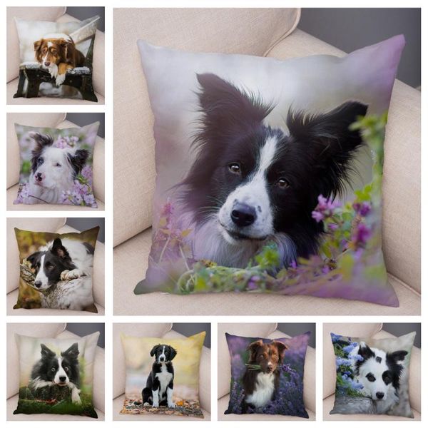 cushion/decorative pillow cute pet animal cushion cover scotland border collie pillowcase for sofa car decor dog printed soft plush case 45*
cushion/decorative pillow cute pet animal cushion cover scotland border collie pillowcase for sofa car decor dog printed soft plush case 45*