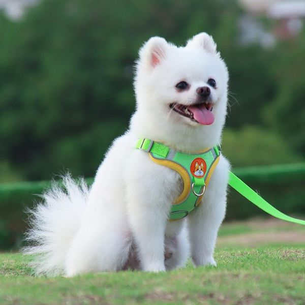dog collars & leashes step-in air harness leash vest-style for small dogs breathable mesh vest pet
dog collars & leashes step-in air harness leash vest-style for small dogs breathable mesh vest pet