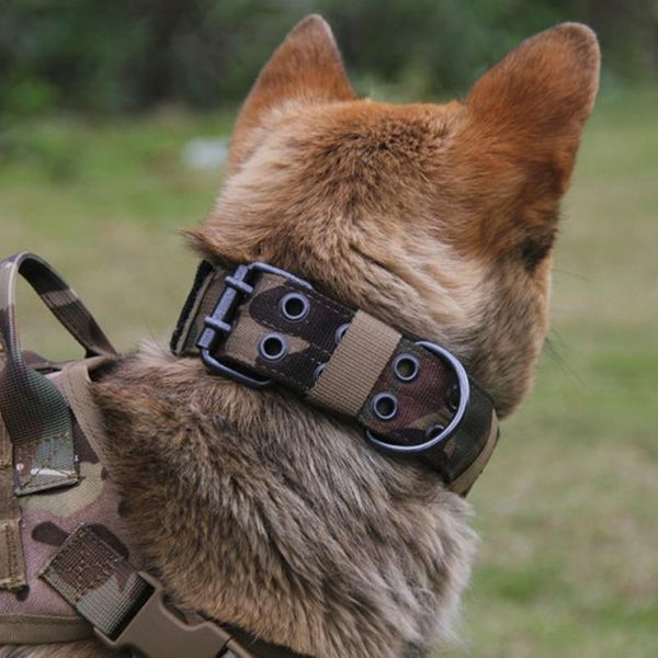 dog collar and traction camouflage durable tactical nylon dog collar 2 line buckle belt loop adjustable training
dog collar and traction camouflage durable tactical nylon dog collar 2 line buckle belt loop adjustable training