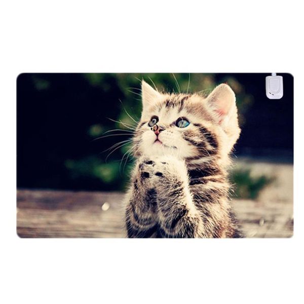 mouse pads & wrist rests pad, warm winter office desk safe low voltage,gaming electric heating table pad
mouse pads & wrist rests pad, warm winter office desk safe low voltage,gaming electric heating table pad