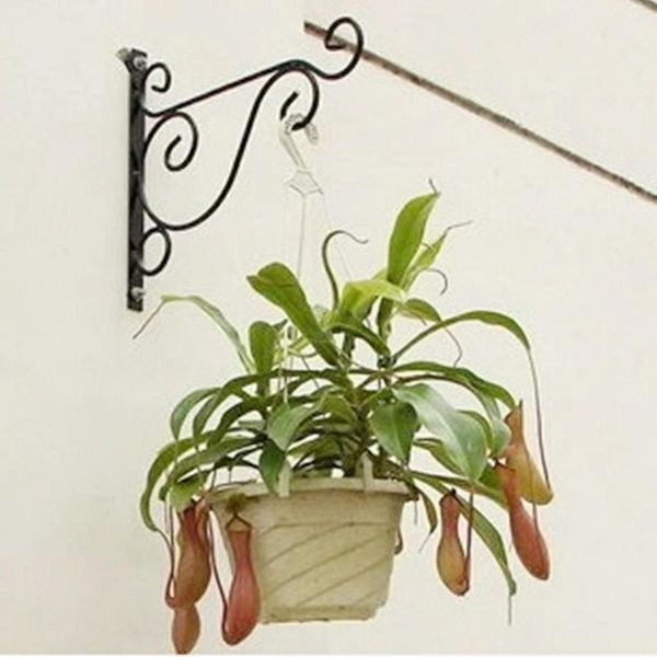 other home decor wall-mounted wrought iron hook hanging basket support plant flower pots decorative shelf balcony garden art crafts
other home decor wall-mounted wrought iron hook hanging basket support plant flower pots decorative shelf balcony garden art crafts