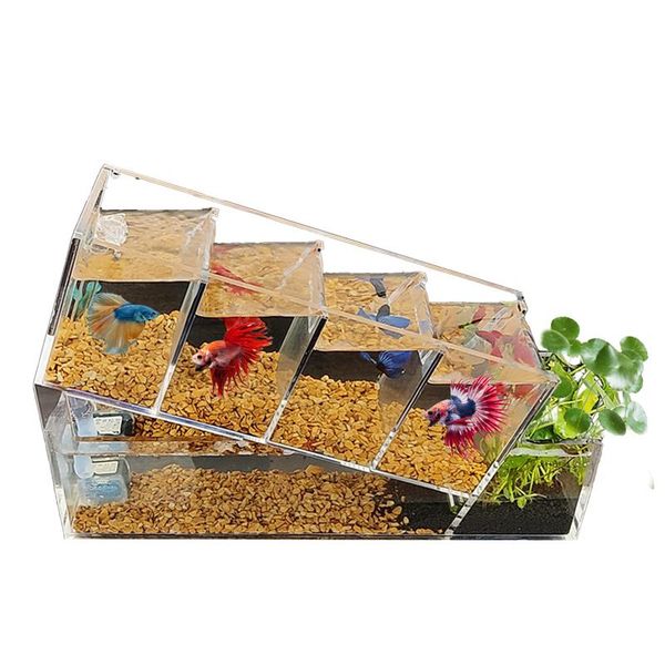 aquariums creative betta tank acrylic desksmall fish multi-grid isolation zone self-circulating filter change water ecological
aquariums creative betta tank acrylic desksmall fish multi-grid isolation zone self-circulating filter change water ecological