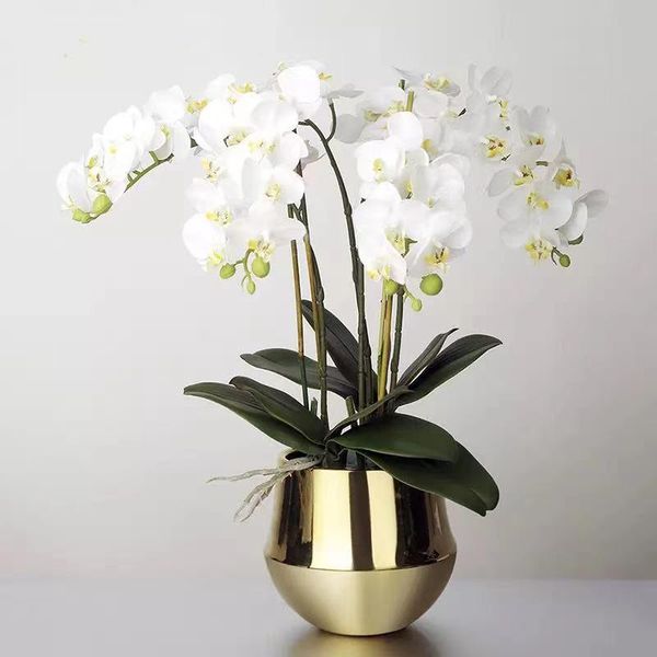 7 heads phalaenopsis orchid flower artificial flower wedding decoration floral christmas party home decor
7 heads phalaenopsis orchid flower artificial flower wedding decoration floral christmas party home decor