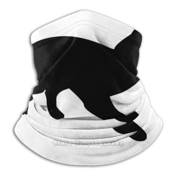 scarves cat lovers : minimalist clothes scarf bandana neck warmer headband cycling mask kitten kitty pet animals feline pets meow, Blue;gray 
scarves cat lovers : minimalist clothes scarf bandana neck warmer headband cycling mask kitten kitty pet animals feline pets meow, Blue;gray