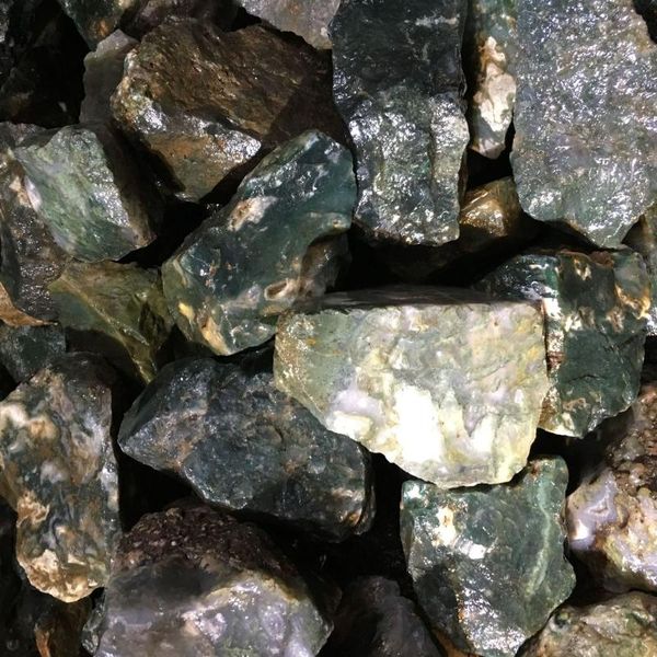 decorative objects & figurines natural aquatic plants mineral specimen rough agate for collection jewelry processing
decorative objects & figurines natural aquatic plants mineral specimen rough agate for collection jewelry processing