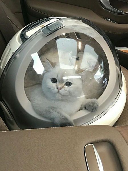 cat carriers,crates & houses dog space breathable carrier bags small puppy cats travel cage backpack carriers
cat carriers,crates & houses dog space breathable carrier bags small puppy cats travel cage backpack carriers