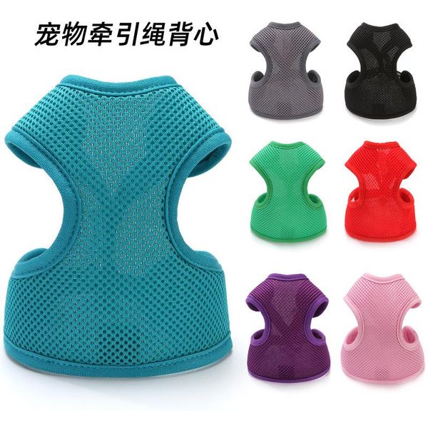 dog hand holding rope small dog rope chain leash vest teddy pet harness pet supplies
dog hand holding rope small dog rope chain leash vest teddy pet harness pet supplies