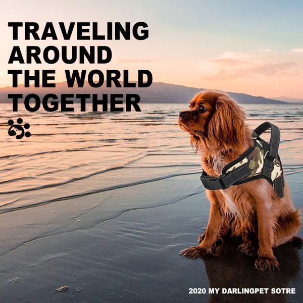 dog collars & leashes reflective neoprene mesh small harness vest adjustable for large big dogs pets accessory
dog collars & leashes reflective neoprene mesh small harness vest adjustable for large big dogs pets accessory