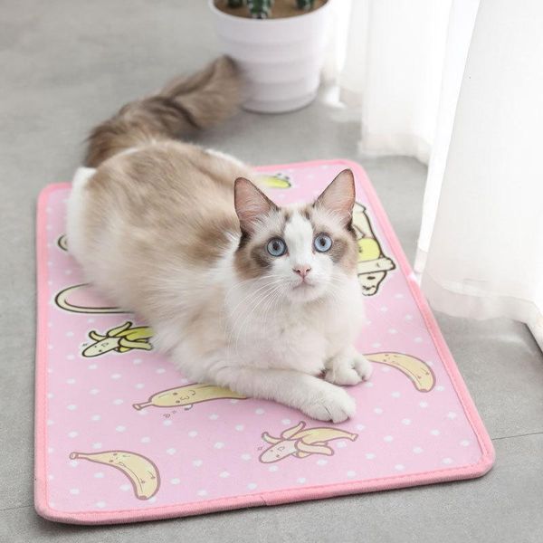 cat beds & furniture pet mat dog sleeping bed autumn and winter warm soft round cartoon cotton pad matress
cat beds & furniture pet mat dog sleeping bed autumn and winter warm soft round cartoon cotton pad matress