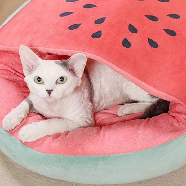 cat beds & furniture autumn and winter warm fruit half bag nest four seasons general dog mat cover blanket integrated dual-purpose semi clos
cat beds & furniture autumn and winter warm fruit half bag nest four seasons general dog mat cover blanket integrated dual-purpose semi clos