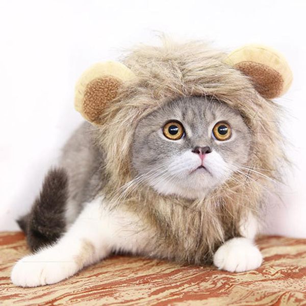 cat costumes christmas halloween pet costume for cats cosplay adjustable hat cap kedi gota accessories mascotas supplies products
cat costumes christmas halloween pet costume for cats cosplay adjustable hat cap kedi gota accessories mascotas supplies products