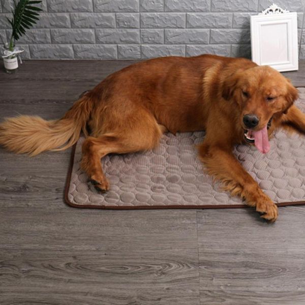 kennels & pens dog camping sleeping massage mats pet summer cooling blanket ice cats bed for sofa portable car tour house
kennels & pens dog camping sleeping massage mats pet summer cooling blanket ice cats bed for sofa portable car tour house