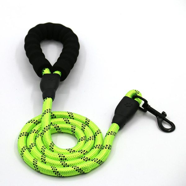 dog collars & leashes luminous beautiful 1.5m nylon safety buckle pet leash 01
dog collars & leashes luminous beautiful 1.5m nylon safety buckle pet leash 01